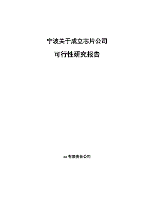 宁波关于成立芯片公司可行性研究报告.docx