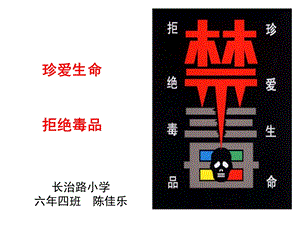 《珍爱生命-远离毒品》PPT.ppt