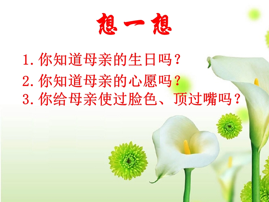 《我的母亲》(ypb).ppt_第2页