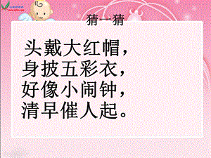 《快乐的小公鸡》课件.ppt