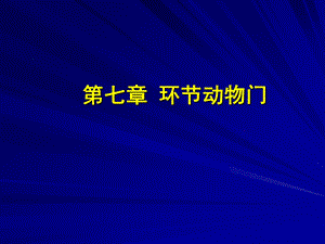 《环节动物门》课件.ppt