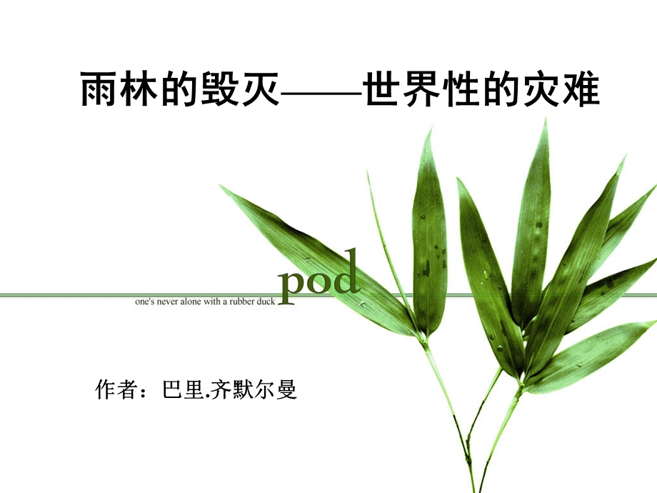 《雨林的毁灭-世界性灾难》.ppt_第1页