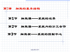 《细胞核-系统的控制中心》5(新人教必修1).ppt