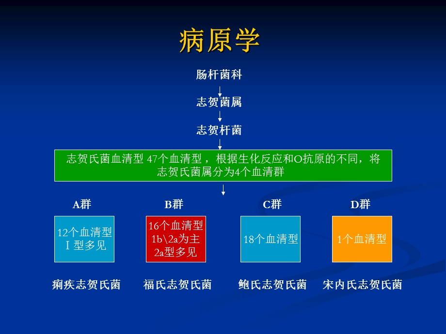 《细菌性痢疾》课件.ppt_第3页