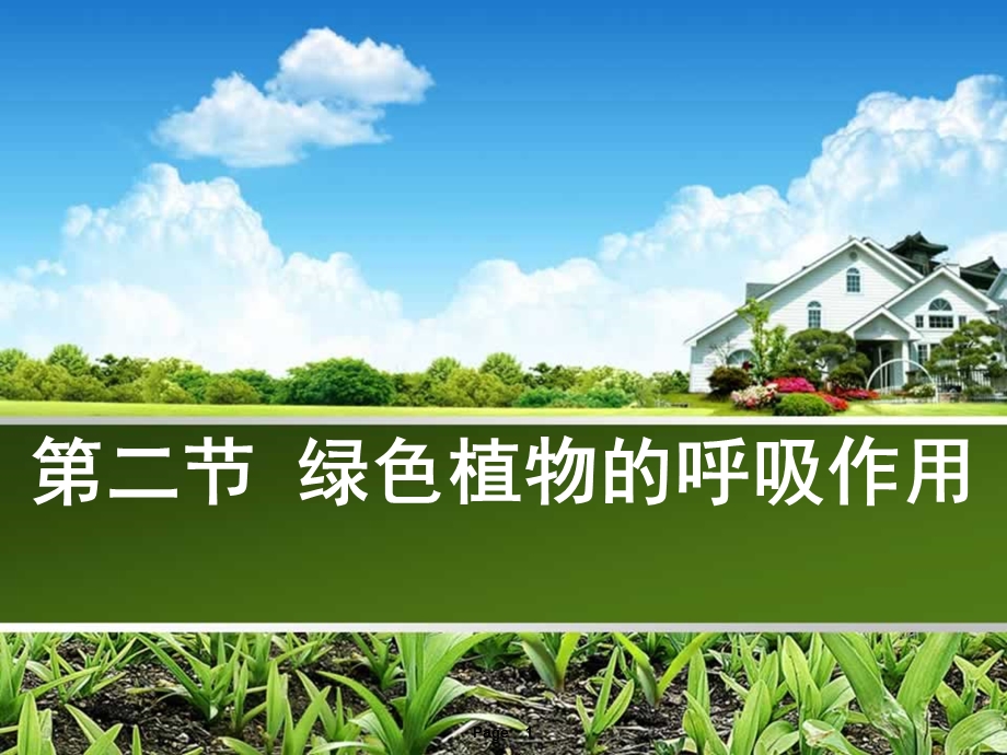 《绿色植物的呼吸作用》.ppt_第1页