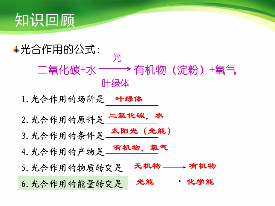 《绿色植物的呼吸作用》.ppt_第2页