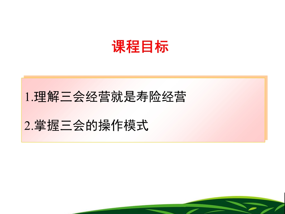 保险公司三会经营.ppt_第2页