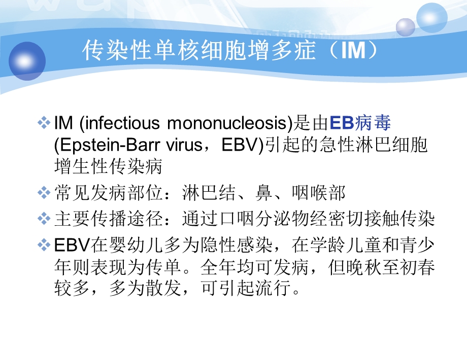 儿科护理查房-传染性单核细胞增多症.ppt_第2页