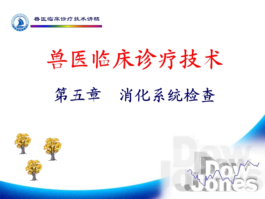 《消化系统检查》课件.ppt_第1页