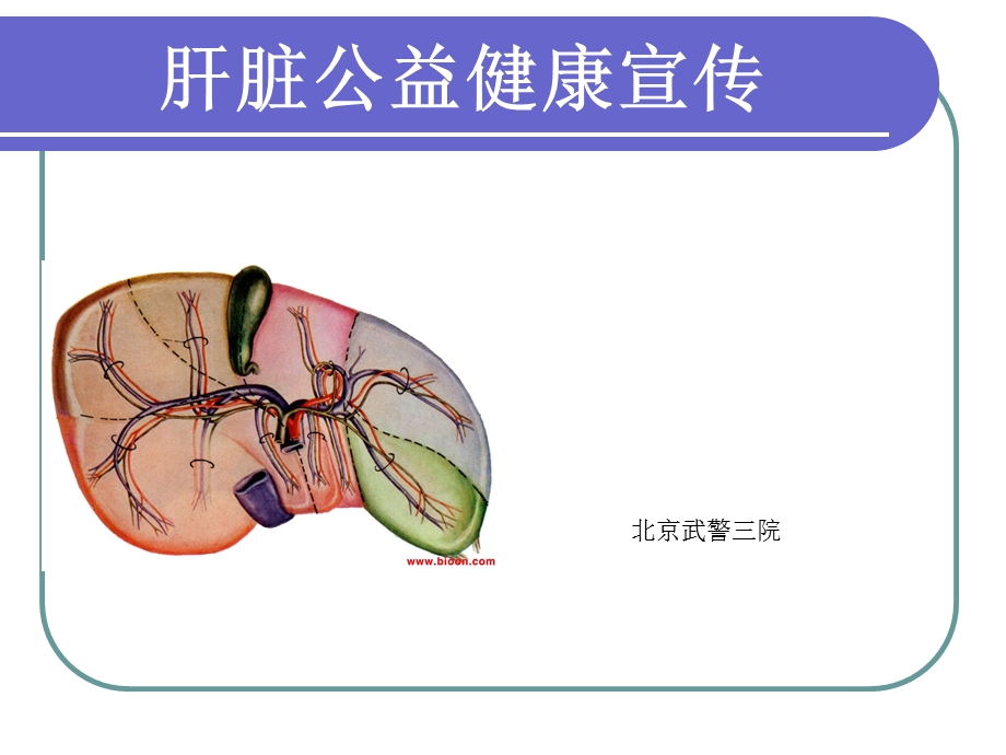 低频脉冲疗法北京乙肝治疗.ppt_第1页