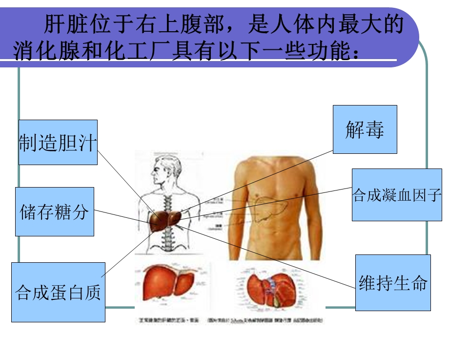 低频脉冲疗法北京乙肝治疗.ppt_第3页