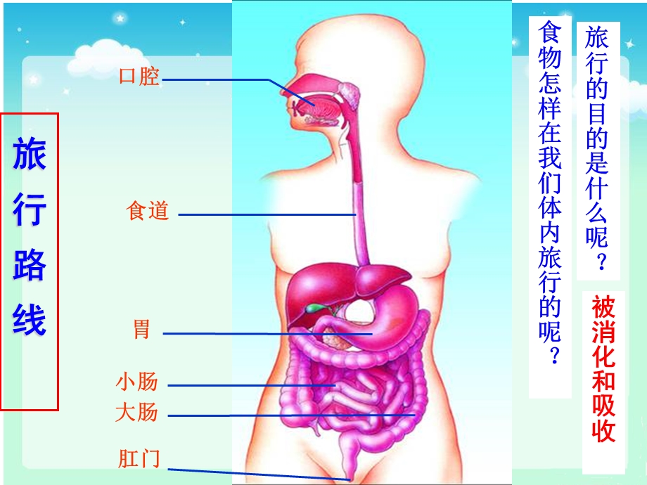 《食物在口腔中的消化》课件.ppt_第2页