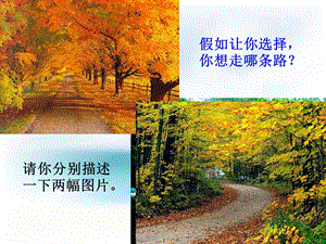 《未选择的路》优秀课件(31张).ppt