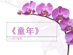 《童年》-分章节对两个舅舅的性格特点概括.ppt