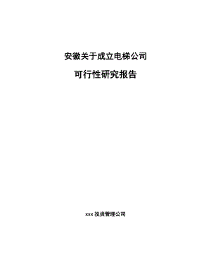 安徽关于成立电梯公司可行性研究报告.docx