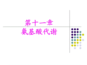 《氨基酸代谢》课件.ppt