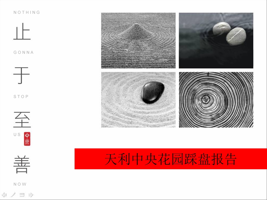 东莞天利中央花园踩盘报告.ppt_第1页