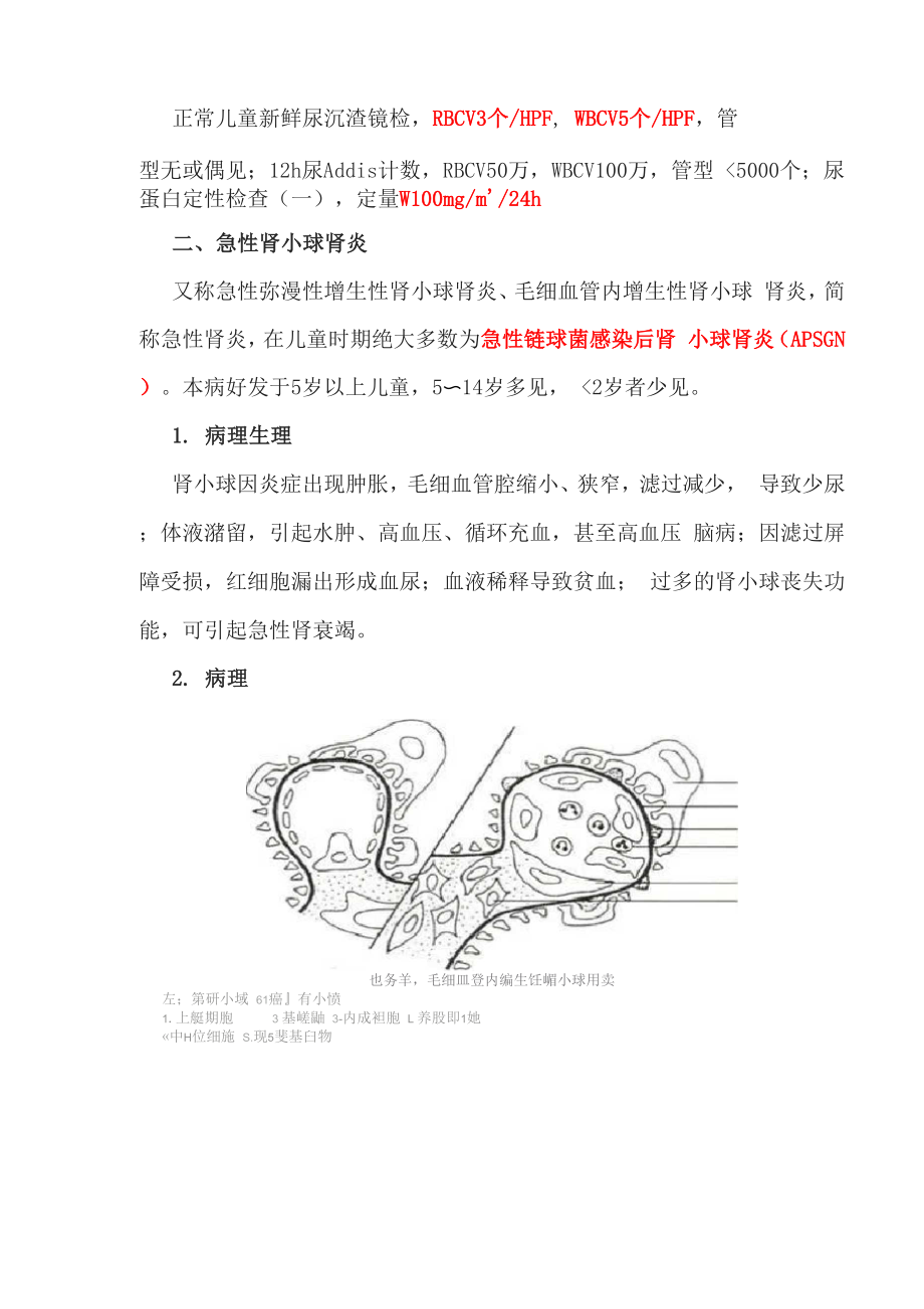 儿科学 儿科泌尿系统疾病 相关知识点整理.docx_第3页