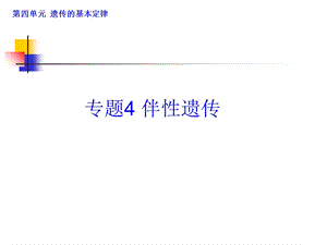 伴性遗传复习课2013到2014年高三上课311yu.ppt