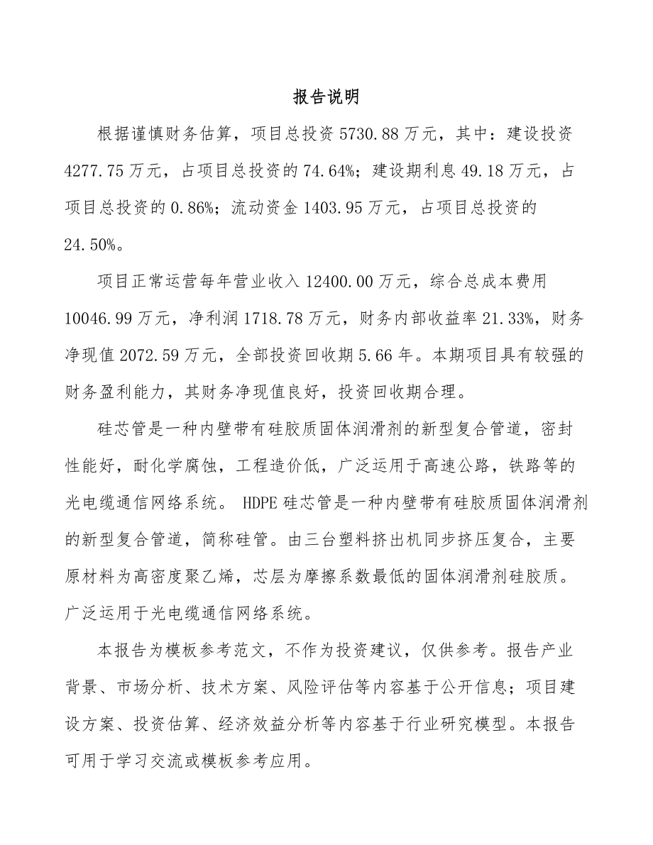 安徽硅芯管项目可行性研究报告.docx_第2页