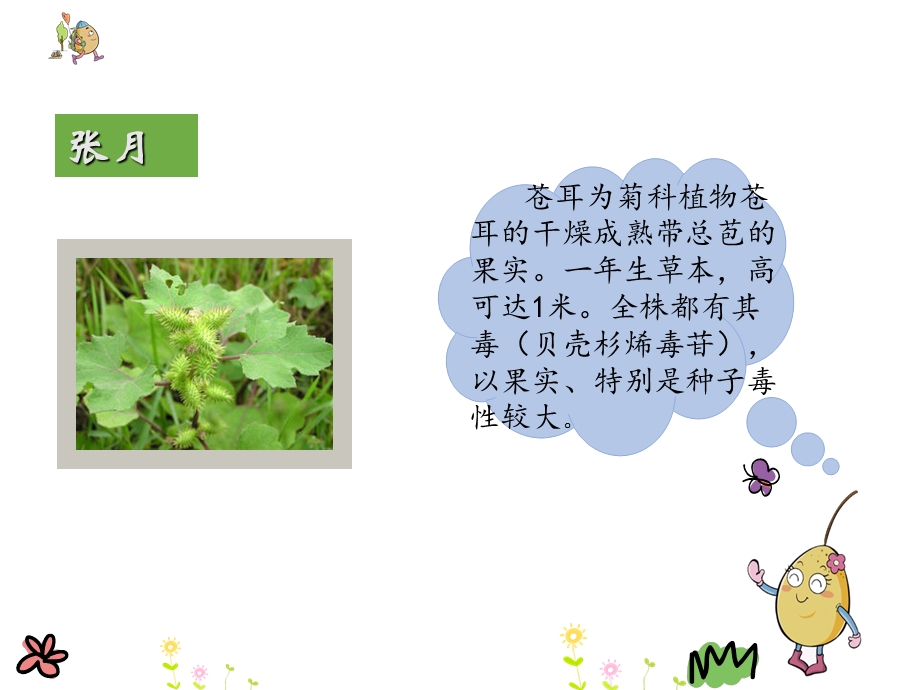 二年级课文11、《我是一只小虫子》.ppt_第3页