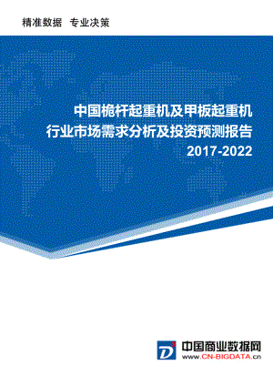 2022年中国桅杆起重机及甲板起重机行业市场需求分析及投资预测报告.doc