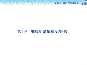 二轮复习-细胞增殖和受精作用.ppt