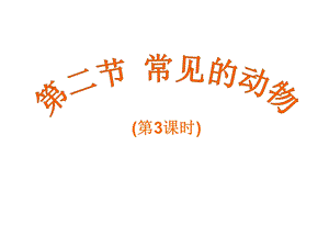 《无脊椎动物》课件.ppt