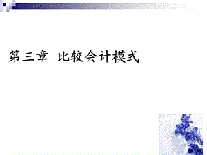 《比较会计模式》课件.ppt