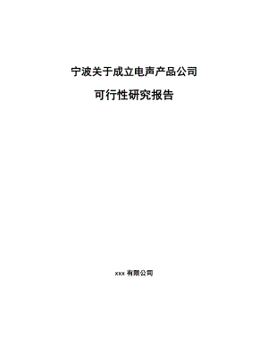 宁波关于成立电声产品公司可行性研究报告.docx