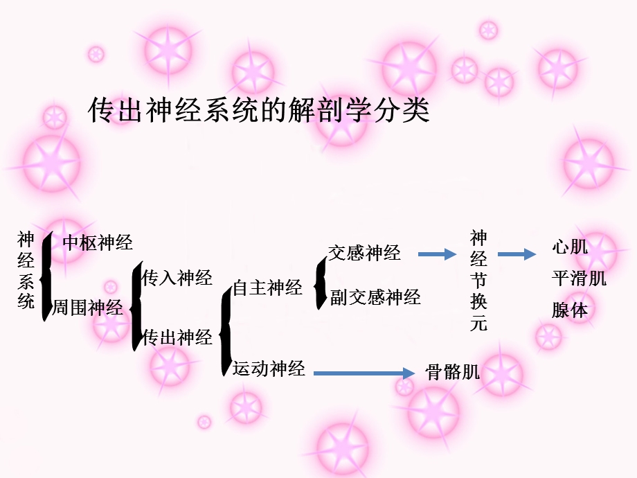 传出神经药理、麻醉药、钙离子通道阻滞药总结.ppt_第2页