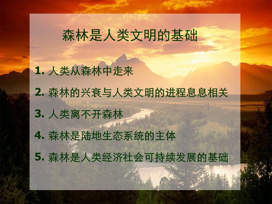 《森林防火讲座》课件.ppt_第3页