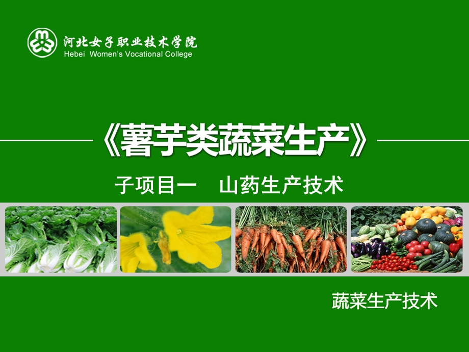 《子项目一山药》课件.ppt_第1页