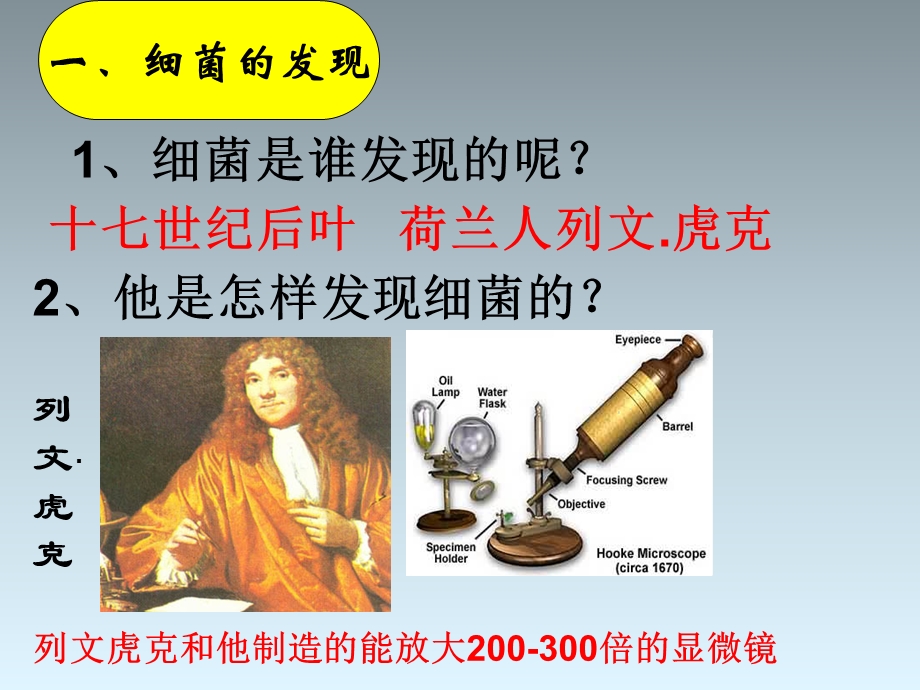 《细菌》优质参考课件.ppt_第2页