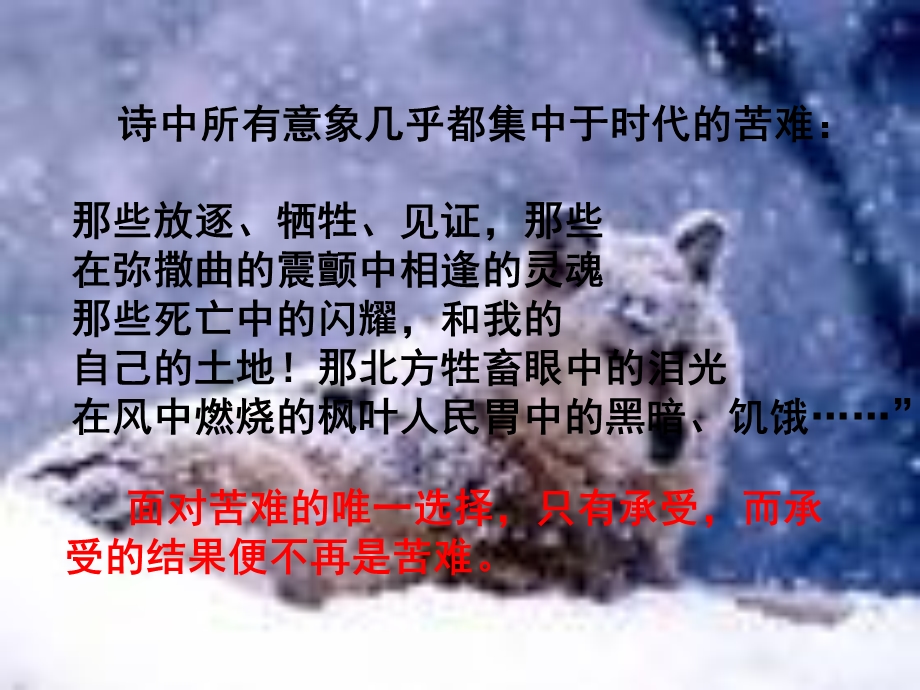 个人对时代的承担帕斯捷尔纳克.ppt_第3页