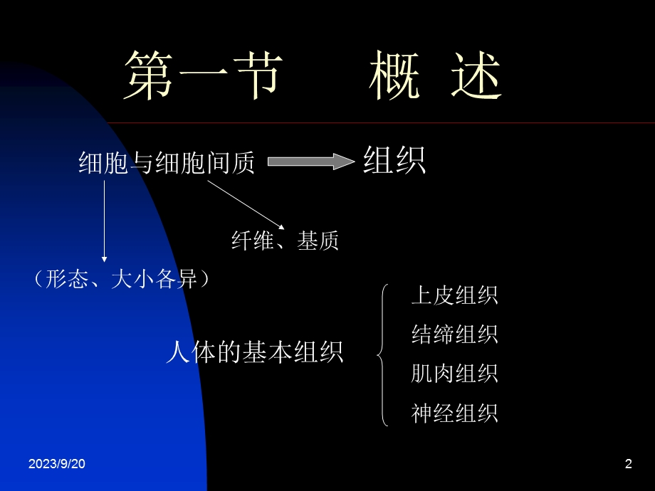 《基本组织》课件.ppt_第2页