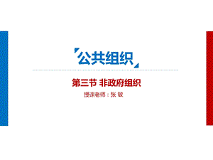 《非政府组织》课件.ppt