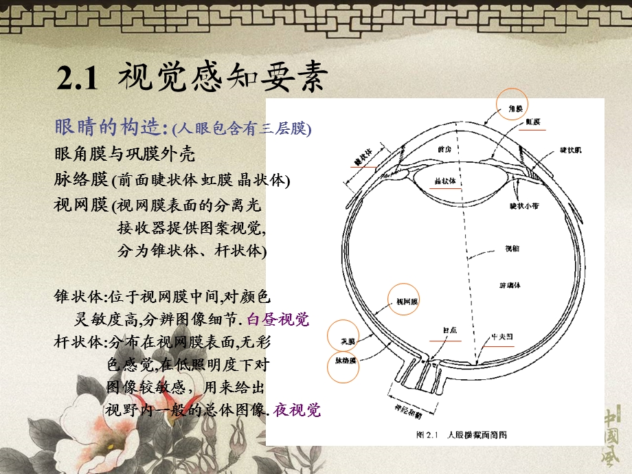 《数字图像处理》第2章.ppt_第2页