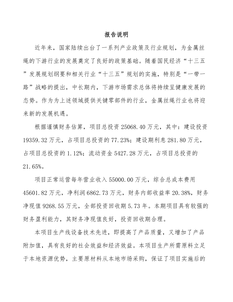 安顺金属丝绳项目可行性研究报告.docx_第2页