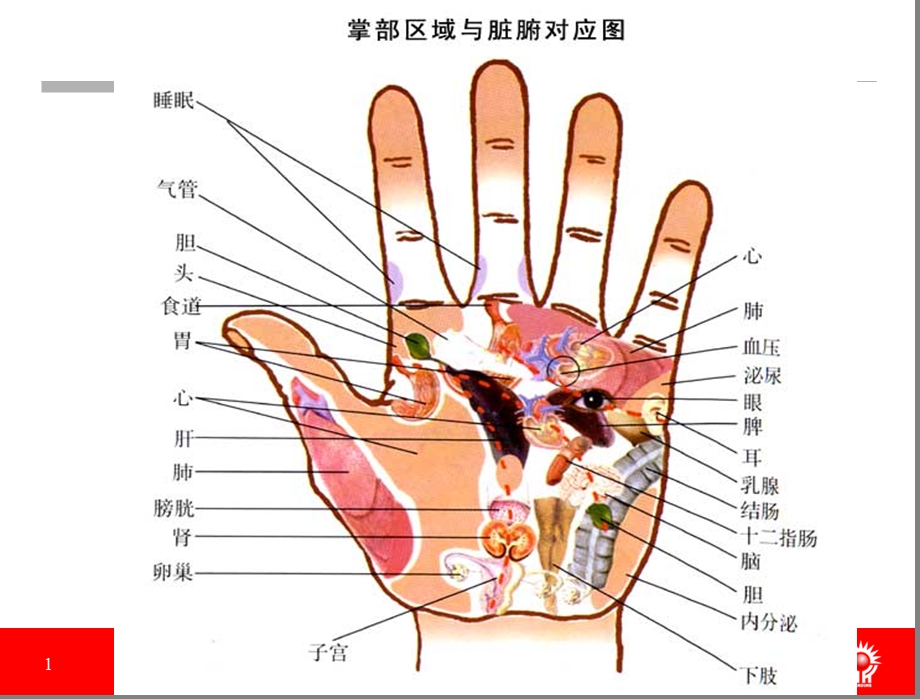 倡导健康生活追求幸福人生(培训讲座PPT课件).ppt_第1页