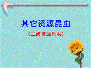 《级资源昆虫》课件.ppt