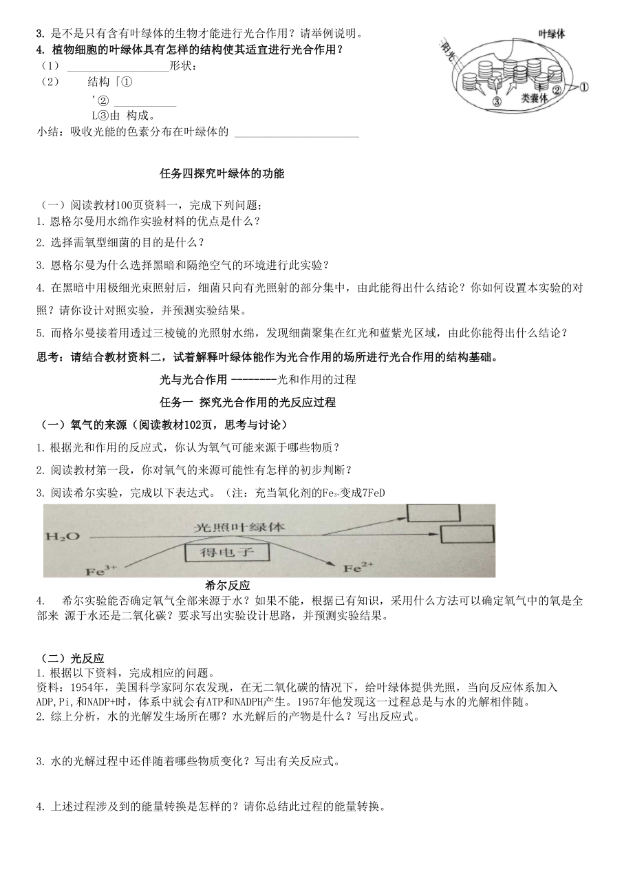 光合作用与能量转化关系.docx_第2页