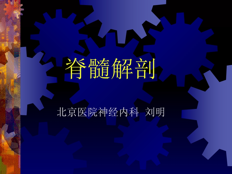 《脊髓解剖》ppt课件.ppt_第1页