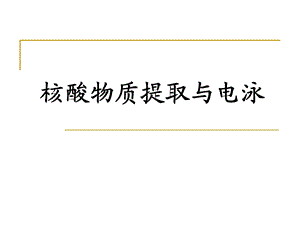 《核酸电泳》课件.ppt