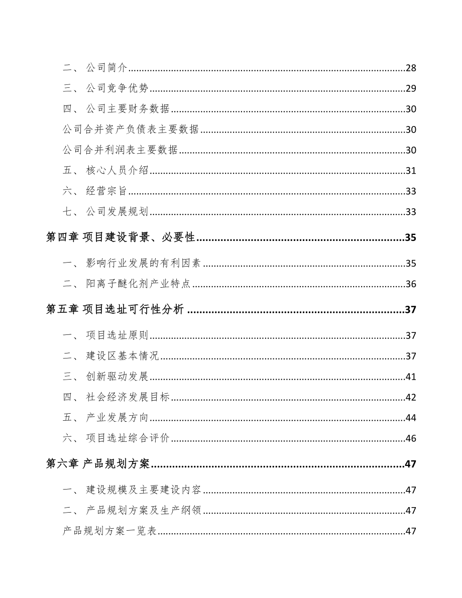 宁波醚化剂项目可行性研究报告.docx_第3页