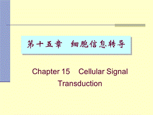 《细胞信息转导》课件.ppt