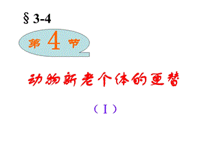 第4节动物新老个体的更替.ppt