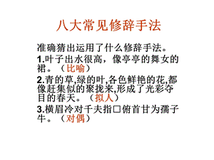 八大常见修辞手法.ppt