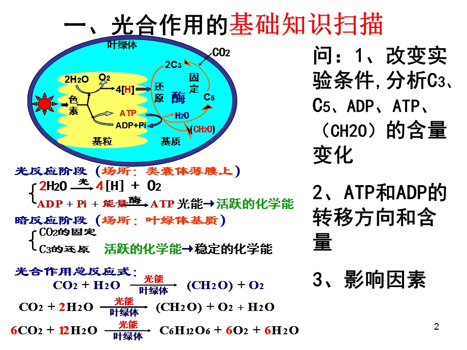 复习光合作用与呼吸.ppt_第2页