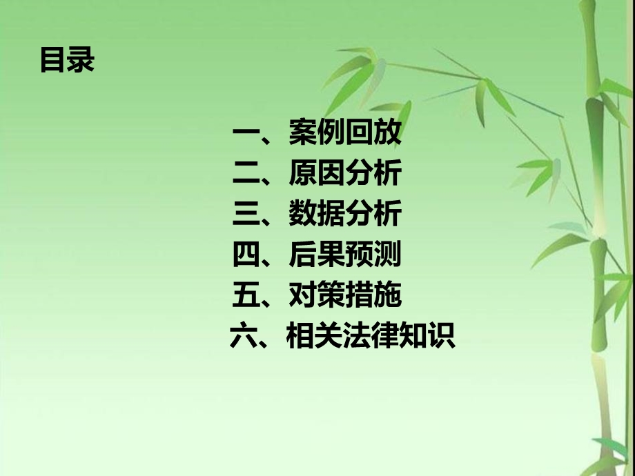 出租车危险案例分析.ppt_第2页